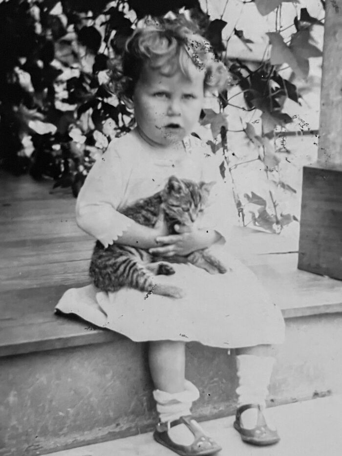 These Charming Vintage Cat Photos Are Taking Over Instagram—and People Can’t Get Enough (30 Pics)