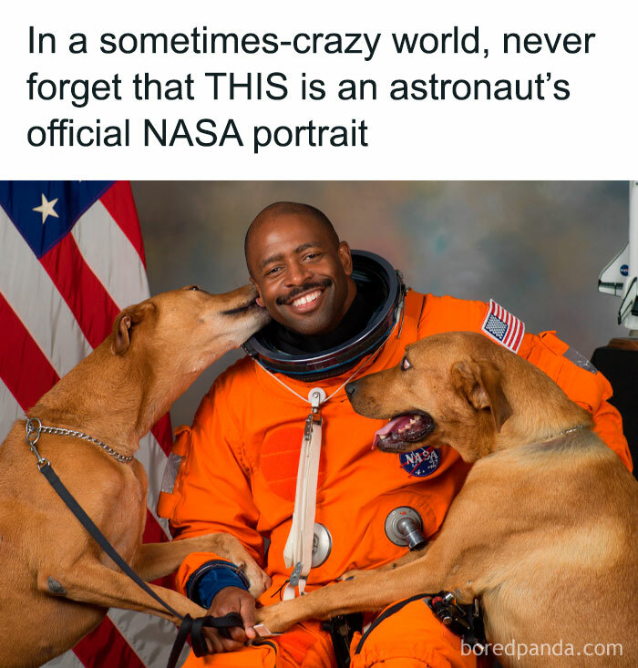 Would Proudly Frame That One