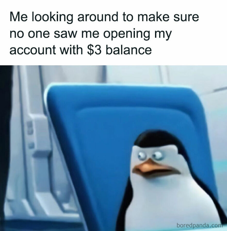 A funny meme with a concerned penguin looking around, embodying the relatable feeling of embarrassment.