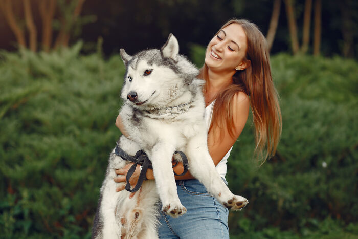 Smiling woman holding her husky dog with different colored eyes. A true friendship, unlike betrayals.