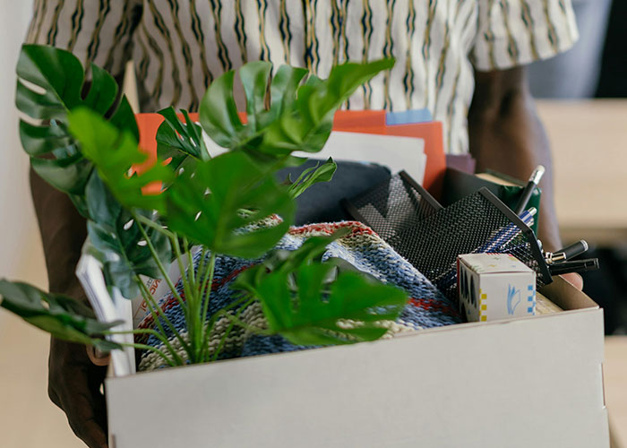 Person holding a box of personal items and plants, symbolizing signs of the economy not doing well.