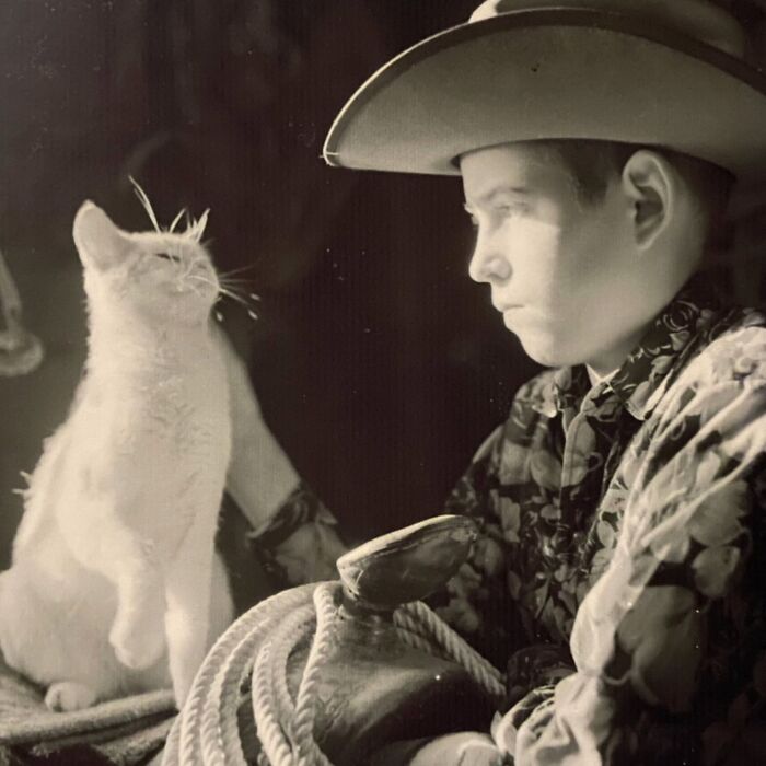 These Charming Vintage Cat Photos Are Taking Over Instagram—and People Can’t Get Enough (30 Pics)