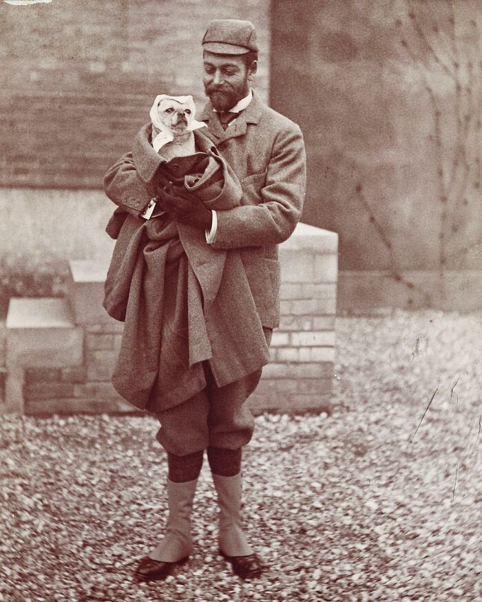 This Instagram Page Is Bringing Forgotten Dogs From History Back To Life In The Most Heartwarming Way(45 Pics)