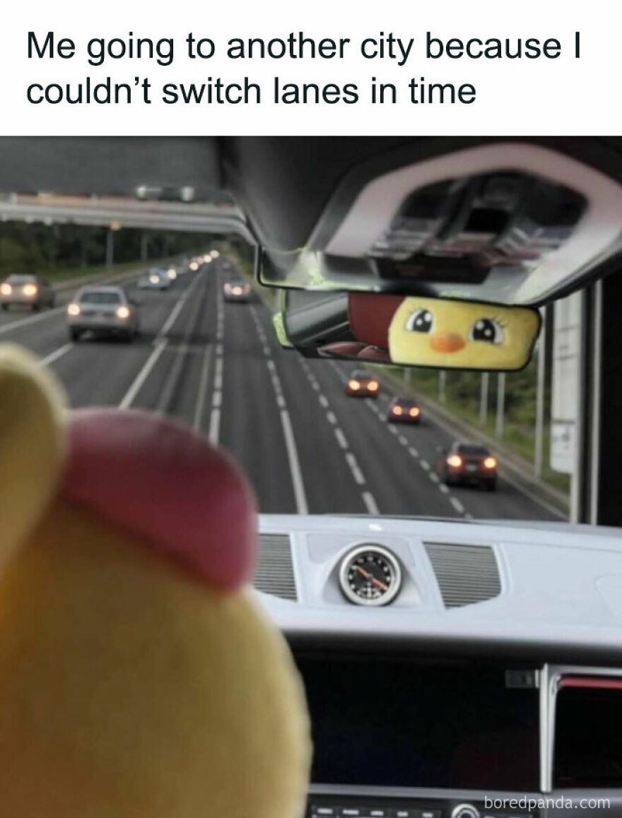 Funny and relatable memes: a car dashboard view with a plush toy, a rearview mirror, and highway traffic.