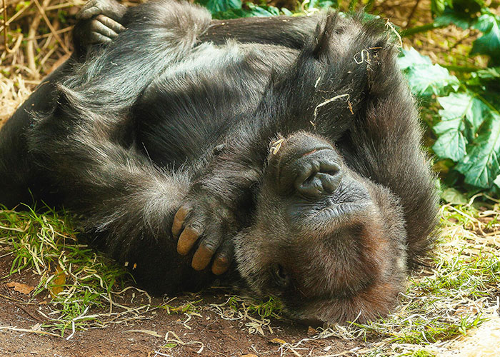 79 Times People Got Exclusive Access To Places And Couldn’t Believe Their Luck