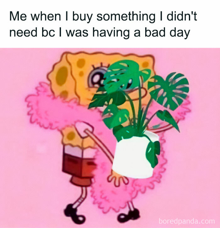 Spongebob meme with pink boa and a plant, captioned "Me when I buy something I didn't need bc I was having a bad day." Crazy plant parent.
