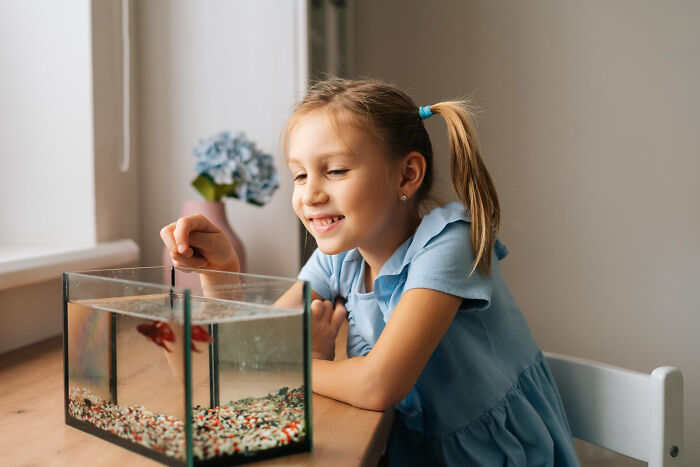 Happy girl with a ponytail smiles at her red fish in a tank. Considering the complex feelings of friendship betrayals.