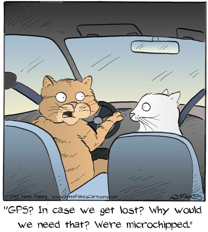 These Funny Cat Comics By Nate Fakes Prove Our Feline Friends Are Secretly Living Their Own Weird Lives (31 Pics)