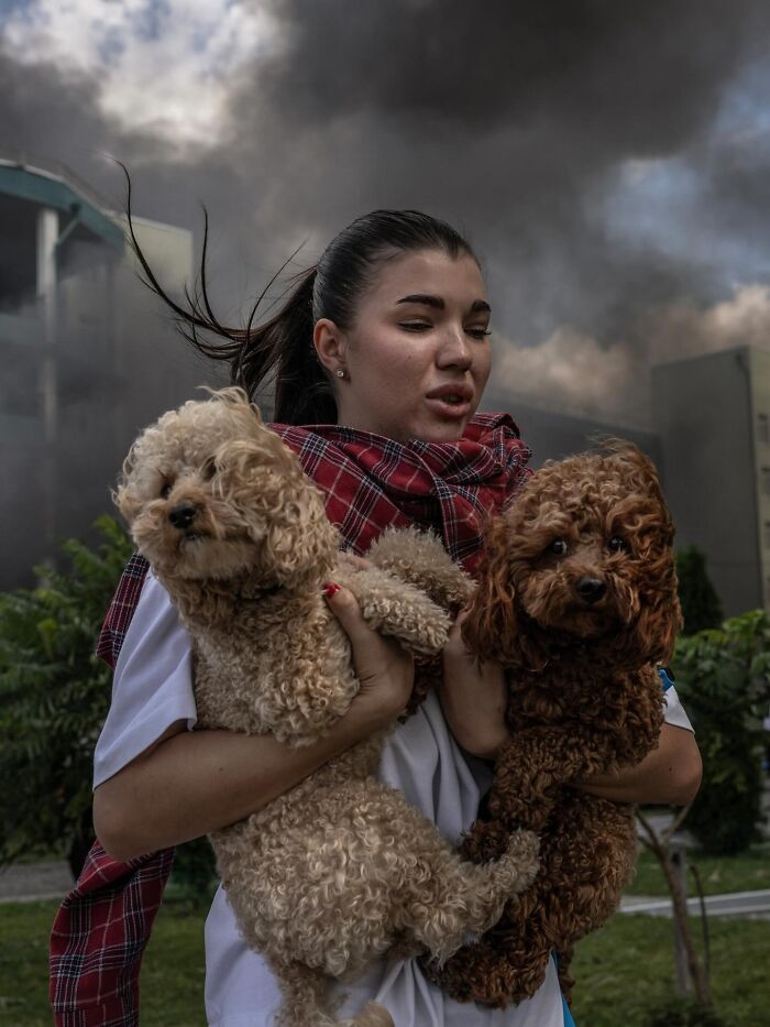 This Instagram Page Is Bringing Forgotten Dogs From History Back To Life In The Most Heartwarming Way(45 Pics)