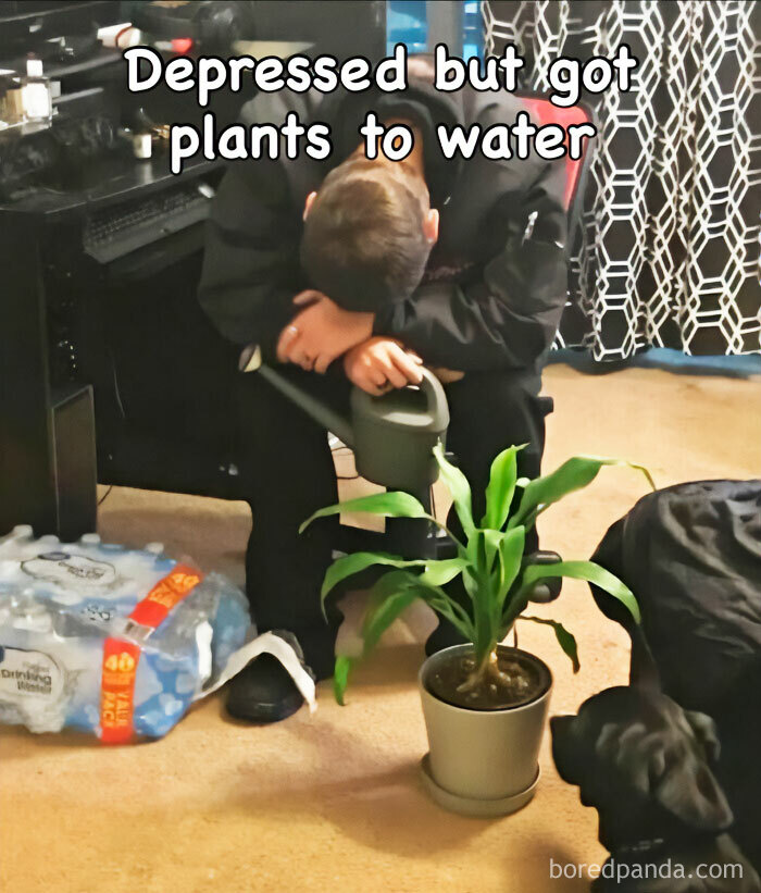 A person watering a plant with the text Depressed but got plants to water, a common meme language phrase for crazy plant parent.