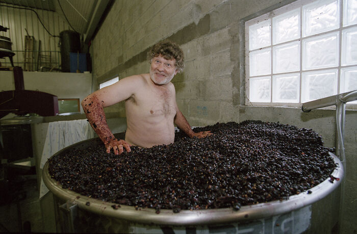 Louis Jadot Wine Photographer Of The Year, People: Jean-Michel Deiss Foot Treading His Pinot Noir In Bergheim, Alsace, France By Claes Lofgren