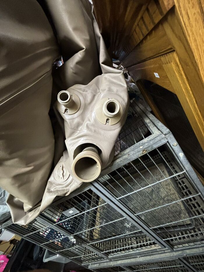 33 Times People Spotted Hidden Faces In Everyday Objects And Had To Share Them (New Pics)