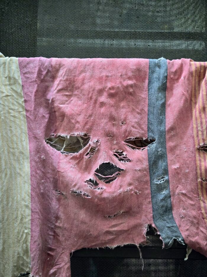 33 Times People Spotted Hidden Faces In Everyday Objects And Had To Share Them (New Pics)