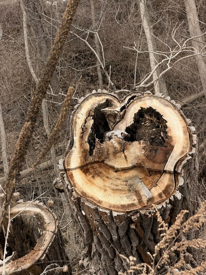 33 Times People Spotted Hidden Faces In Everyday Objects And Had To Share Them (New Pics)