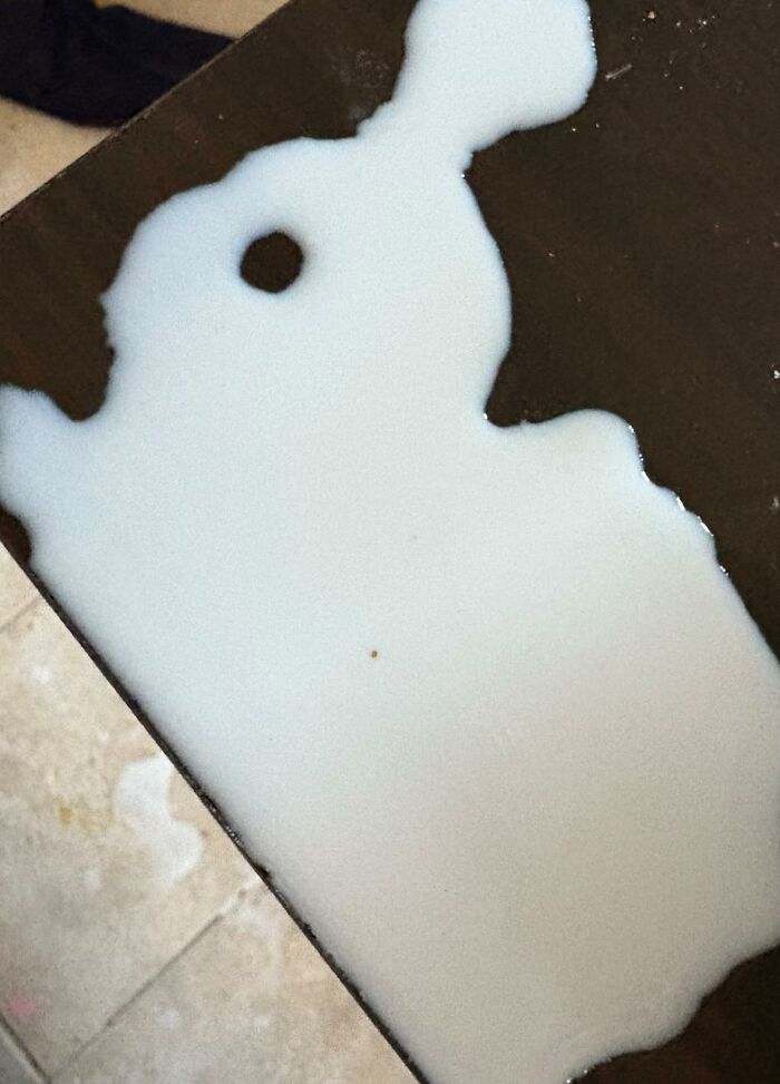 33 Times People Spotted Hidden Faces In Everyday Objects And Had To Share Them (New Pics)