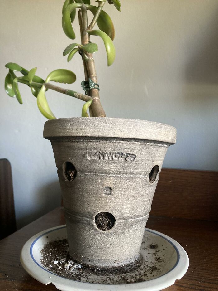 33 Times People Spotted Hidden Faces In Everyday Objects And Had To Share Them (New Pics)