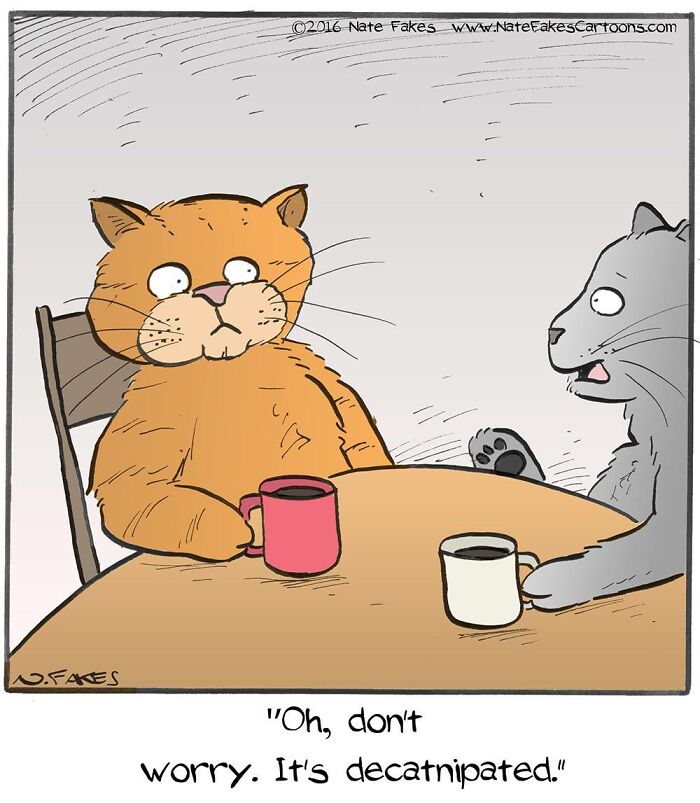 These Funny Cat Comics By Nate Fakes Prove Our Feline Friends Are Secretly Living Their Own Weird Lives (31 Pics)