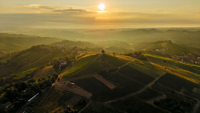 Louis Jadot, fotógrafo de vinhos do ano, Lugares: uma vista panorâmica da colina, por Alessandro Anglisani