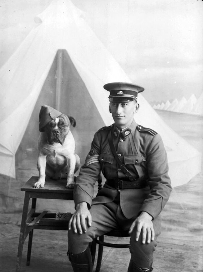 Black and white rare photo of a soldier in uniform sitting next to a dog wearing a hat from a time we will never experience.