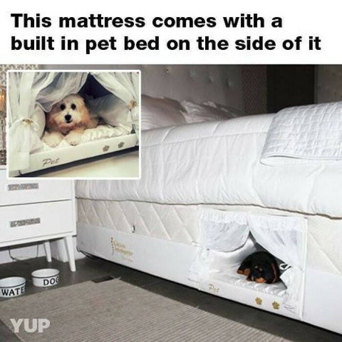 Mattress with built-in pet bed on the side featuring cute, funny, and mischievous dogs resting comfortably inside.