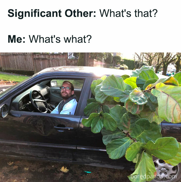A crazy plant parent with a car full of plants, featuring a meme text about a Significant Other.