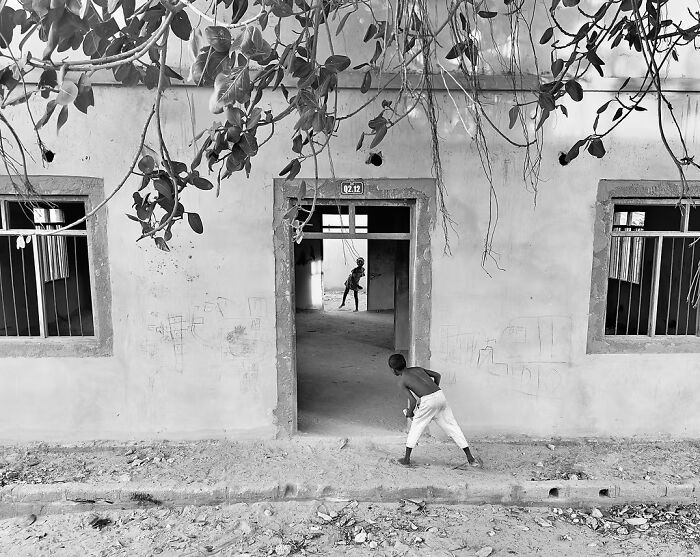 “Esconde-esconde”, de Julia Peterson