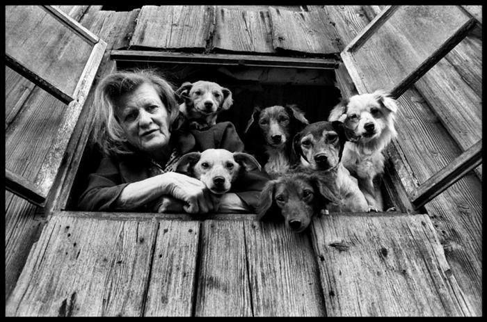 This Instagram Page Is Bringing Forgotten Dogs From History Back To Life In The Most Heartwarming Way(45 Pics)