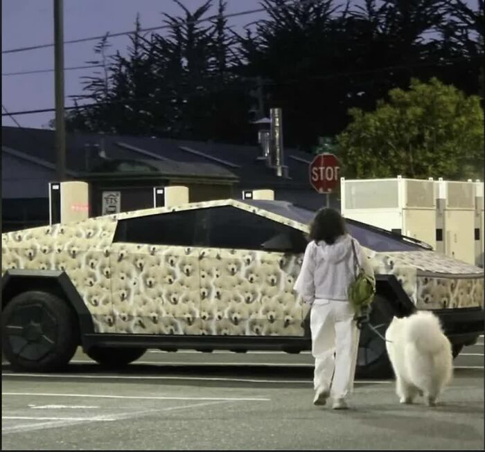 A weird image of a Tesla Cybertruck with a Shiba Inu wrap, a person, and a fluffy white dog walking nearby.