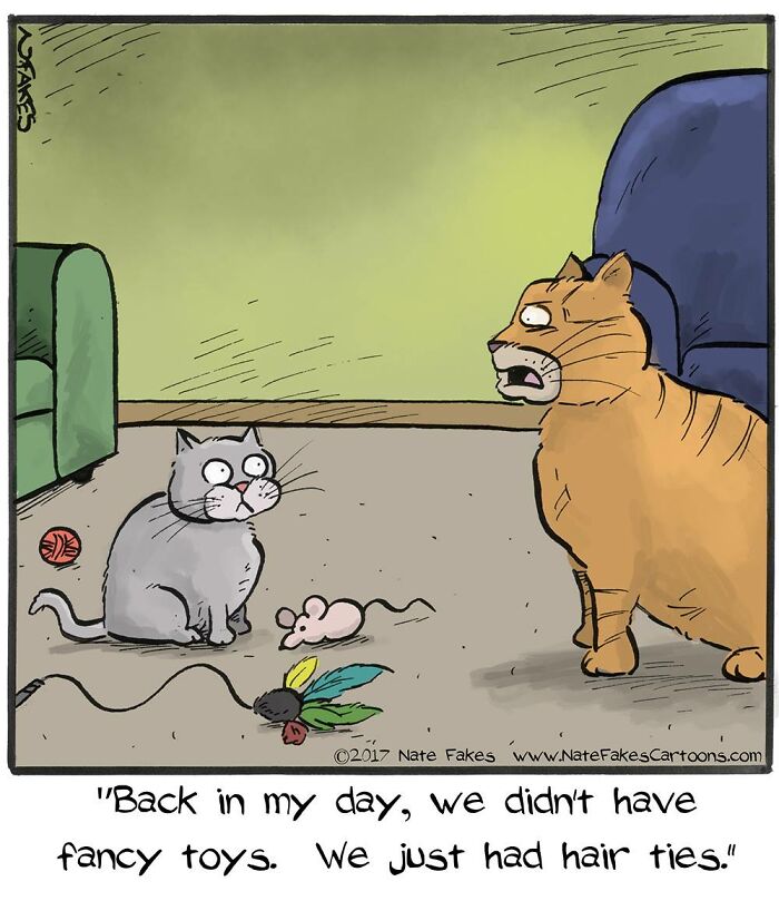 These Funny Cat Comics By Nate Fakes Prove Our Feline Friends Are Secretly Living Their Own Weird Lives (31 Pics)