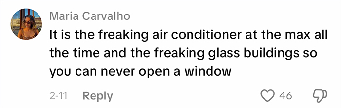 Commenter Maria Carvalho explaining how office air conditioning and glass buildings affect workplace comfort and appearance.