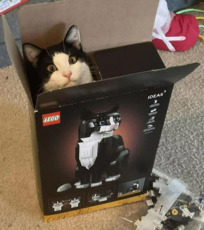 Confusing-Images-Make-You-Wonder