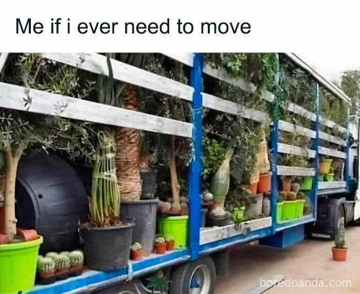 A moving truck overflowing with plants, a relatable meme for any crazy plant parent facing a move.