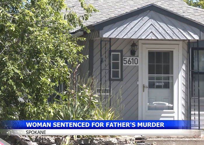 O diário da filha detalhou pensamentos sombrios sobre seu pai, então ela sorriu no tribunal com uma declaração chocante