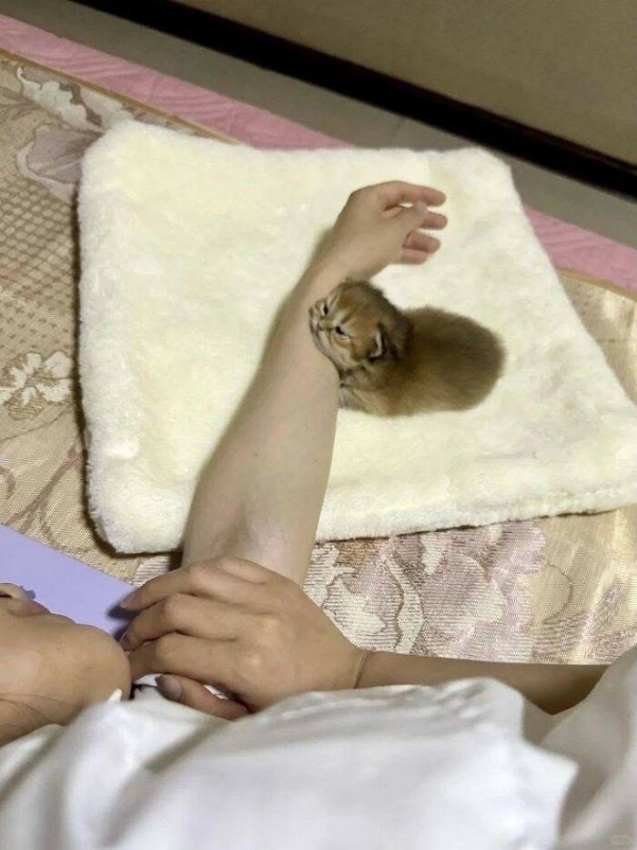 33 Wholesome And Funny Animal Pics That Will Instantly Make Your Day Better (New Pics)