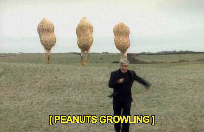 A man running in a field with three giant walking peanuts behind him, a confusing and unhinged image.