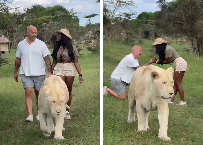 âWe Need Answers Nowâ: Influencerâs FiancĂ© Questioned Hours After Explosive Fight Before Her Passing âWe Need Answers Nowâ: Influencerâs FiancĂ© Questioned Hours After Explosive Fight Before Her Passing