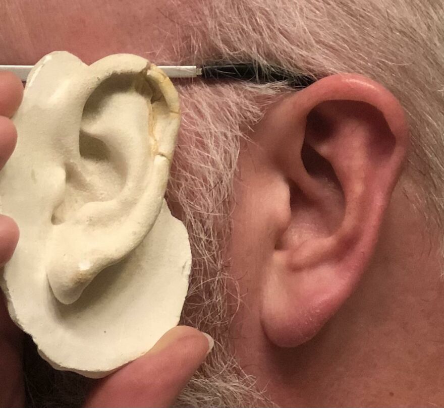 Close-up of an ear next to its white plaster mold, illustrating bizarre human body quirks.