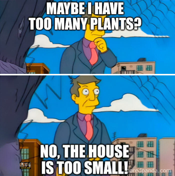 Simpsons meme about too many plants and a crazy plant parent. Skinner contemplates, then exclaims his house is too small.