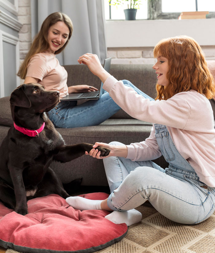 We're A Pet Sitting Service Lady!