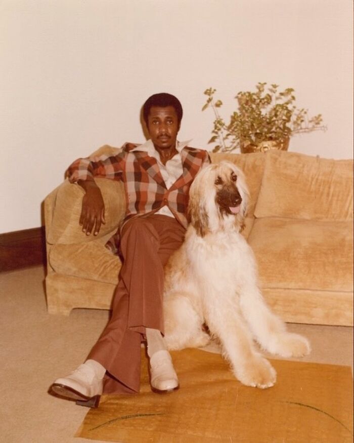 This Instagram Page Is Bringing Forgotten Dogs From History Back To Life In The Most Heartwarming Way(45 Pics)