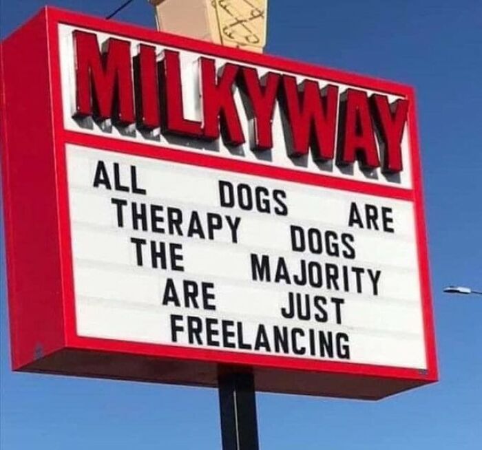 Marquee sign with funny dog meme text about therapy dogs and freelancing, highlighting cute and funny dogs humor.