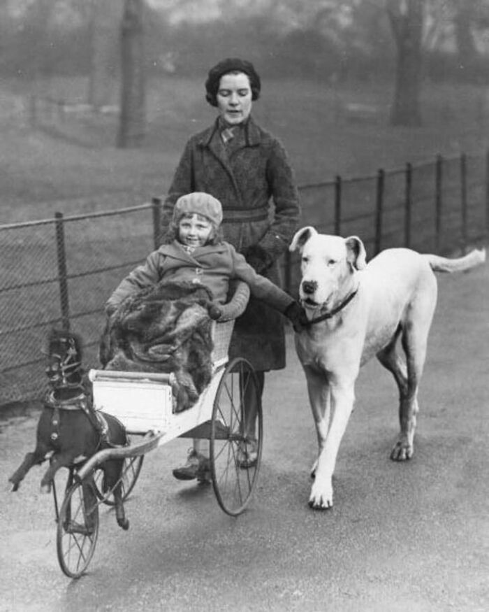 This Instagram Page Is Bringing Forgotten Dogs From History Back To Life In The Most Heartwarming Way(45 Pics)