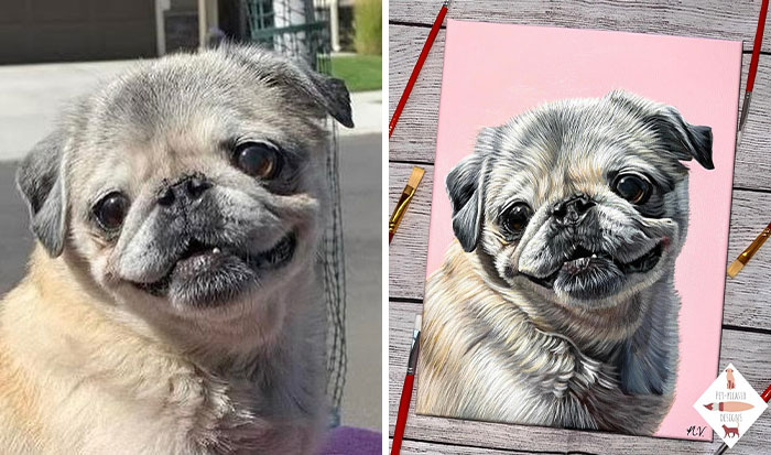 This Artist Paints Incredibly Detailed Pet Portraits That Owners Can Treasure Forever (33 Pics)