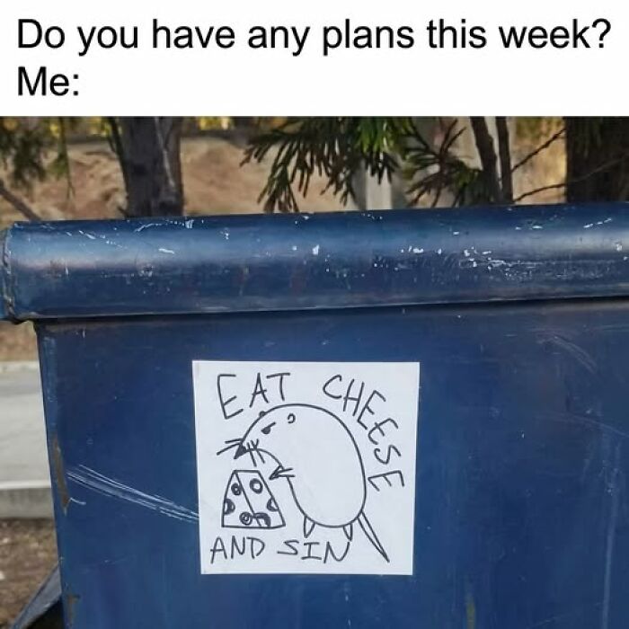 Sticker on a blue dumpster shows a cartoon rat with cheese and the text Eat Cheese, representing food memes humor and quick chuckles.