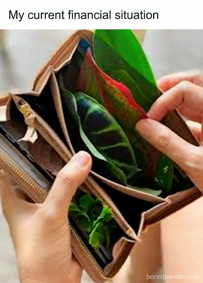 A person holding an open wallet filled with plant leaves instead of money. A funny meme for crazy plant parents.