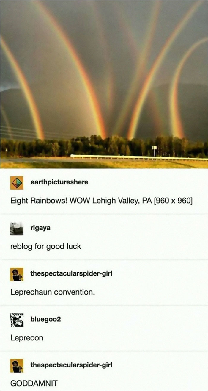 A photo of eight vibrant rainbows over a forest with humorous meme comments about a leprechaun convention.