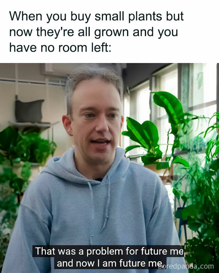 A man in a light blue hoodie, surrounded by lush plants, talking about being a crazy plant parent in a meme.