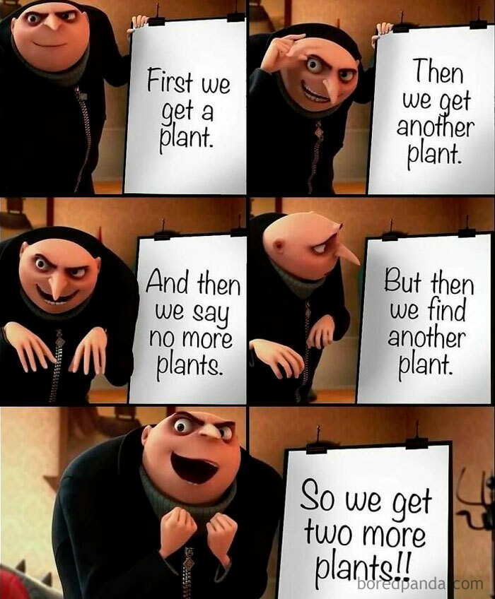 A Gru meme about a crazy plant parent adding more plants to their collection, ideal for meme language lovers.