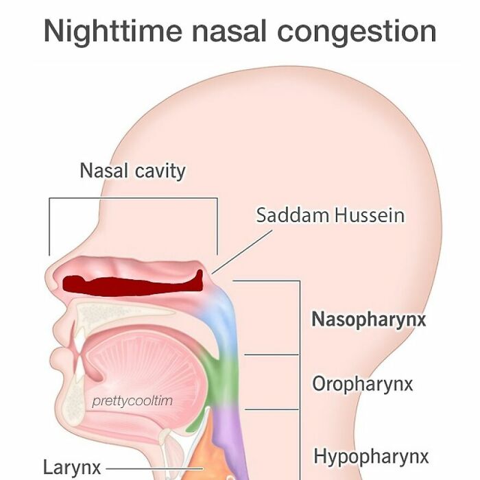 42 Memes To Lift Your Spirits, As Shared By This Instagram Page (New Pics)