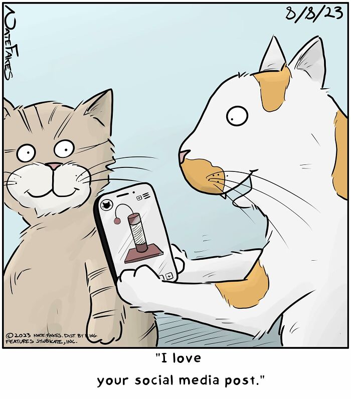 These Funny Cat Comics By Nate Fakes Prove Our Feline Friends Are Secretly Living Their Own Weird Lives (31 Pics)